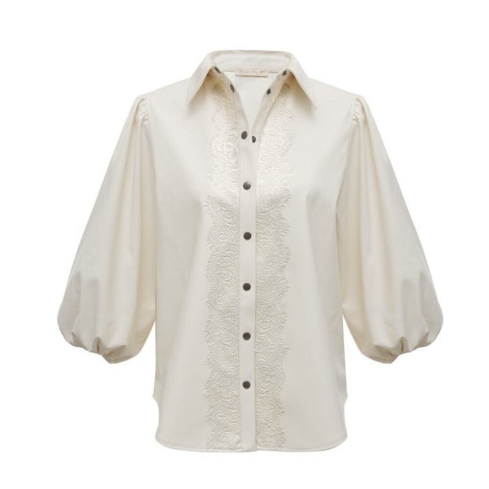 Gold Hawk Balloon Sleeve Faux Leather Top (Dove) • Medium